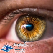 بهترین درمان های شب کوری