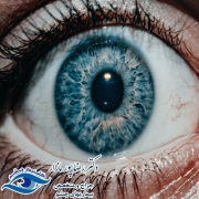 تیرویید چشمی چیست